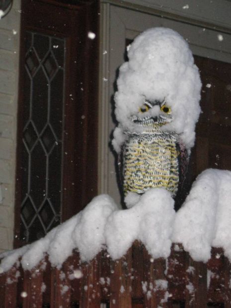 Winter Storm Atlas
